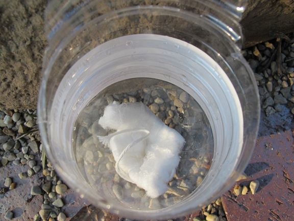 tampon_3 image tampon 3