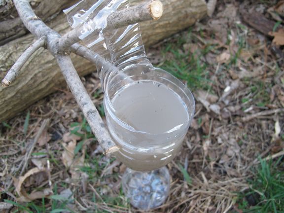 tampon_5 image tampon 5