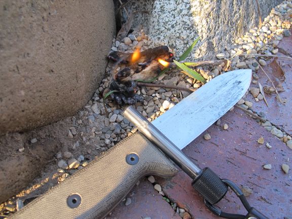 tampon_7 image tampon 7