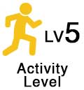 OPA_Icon_Activity-Level-5 image OPA_Icon_Activity-Level-5 The 4 C's of Building A Strong C-Suite