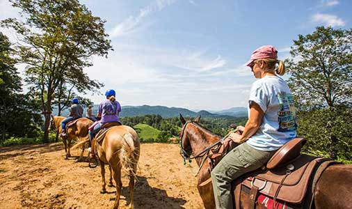 sandy-bottom image sandy-bottom Support