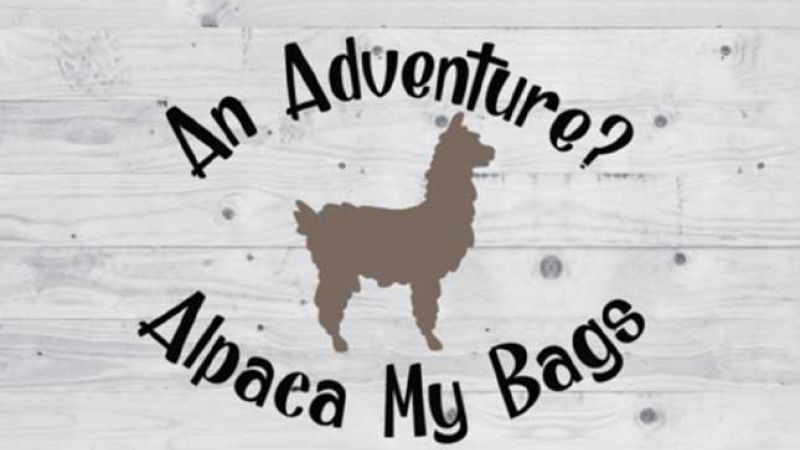 alpaea-my-bags-7edd6dd3 image alpaea-my-bags-7edd6dd3 On Purpose Adventures Blog