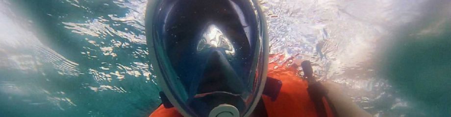 tribord-easy-breath-mask-c084e6cb image tribord-easy-breath-mask-c084e6cb Tribord Easybreath Snorkeling Mask